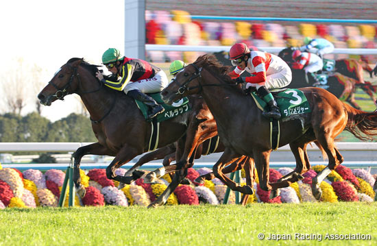 Radio Nikkei Hai Kyoto Nisai Stakes (G3)