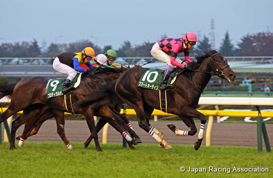 Tokyo Sports Hai Nisai Stakes (G3)