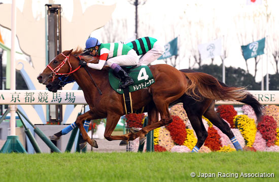 Radio Nikkei Hai Kyoto Nisai Stakes (G3)
