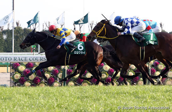 Nikkan Sports Sho Shinzan Kinen (G3)