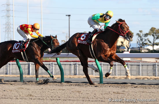 Tokai TV Hai Tokai Stakes (G2)