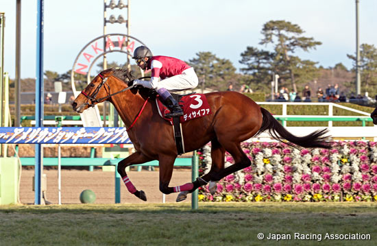 American Jockey Club Cup (G2)