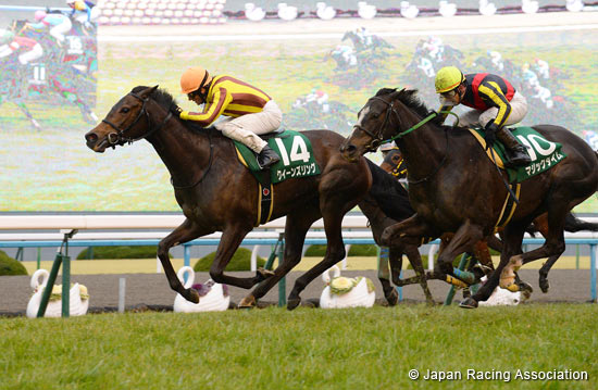 Kyoto Himba Stakes (G3)