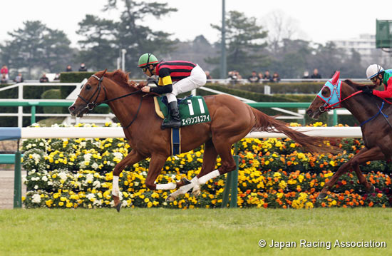 Yukan Fuji Sho Ocean Stakes (G3)