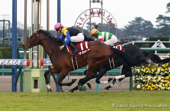 Hochi Hai Yayoi Sho (Japanese 2,000 Guineas Trial) (G2)