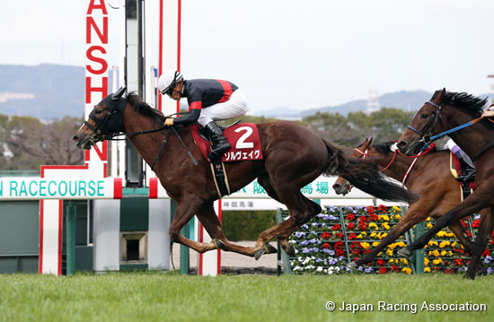 Hochi Hai Fillies' Revue (Japanese 1,000 Guineas Trial) (G2)