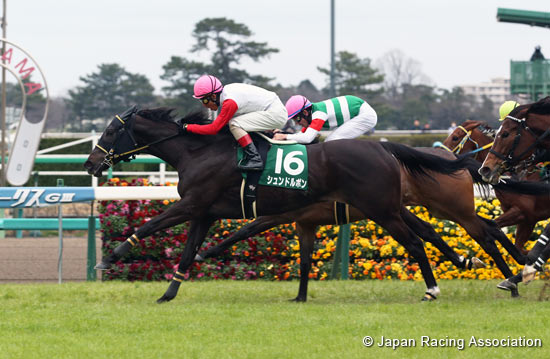 Laurel R.C. Sho Nakayama Himba Stakes (G3)