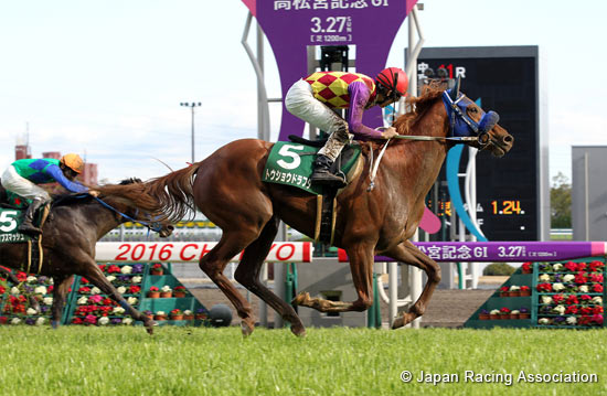 Chunichi Sports Sho Falcon Stakes (G3)