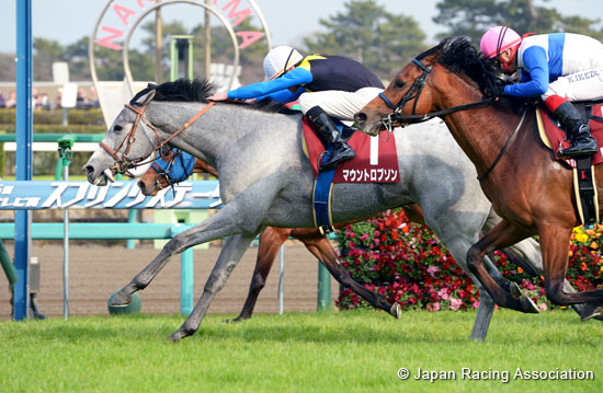 Fuji TV Sho Spring Stakes (Japanese 2,000 Guineas Trial) (G2)