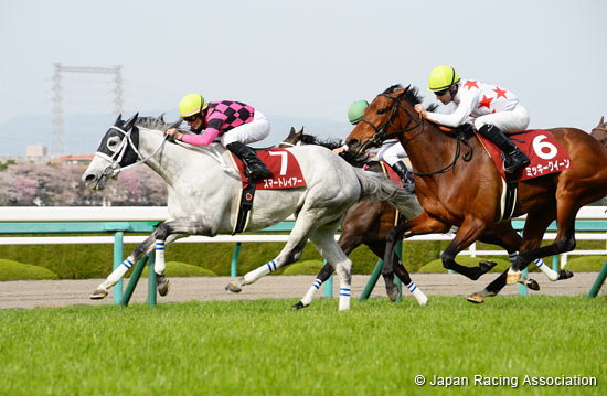 Sankeisports Hai Hanshin Himba Stakes (G2)