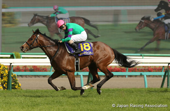 Satsuki Sho (Japanese 2000 Guineas) (G1)