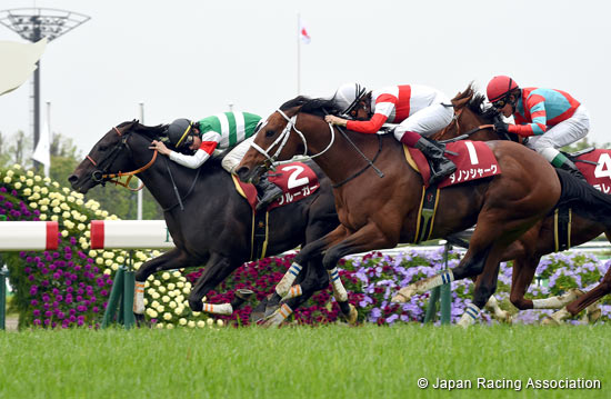 Yomiuri Milers Cup (G2)