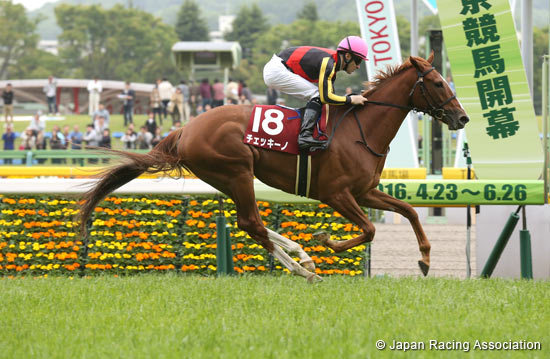 Sankei Sports Sho Flora Stakes (Japanese Oaks Trial) (G2)