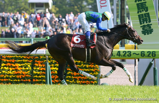 TV Tokyo Hai Aoba Sho (Japanese Derby Trial) (G2)