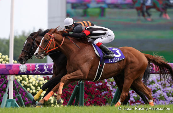 Tenno Sho (Spring) (G1)