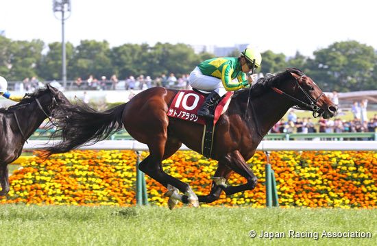 Keio Hai Spring Cup (G2)