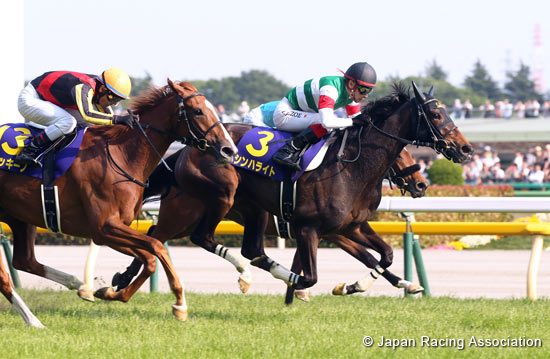 Yushun Himba (Japanese Oaks) (G1)