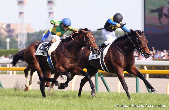 Tokyo Yushun (Japanese Derby) (G1)