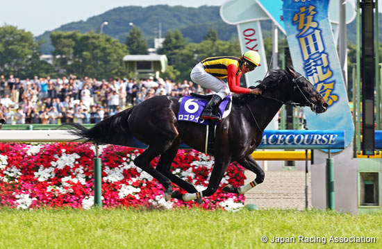 Yasuda Kinen (G1)