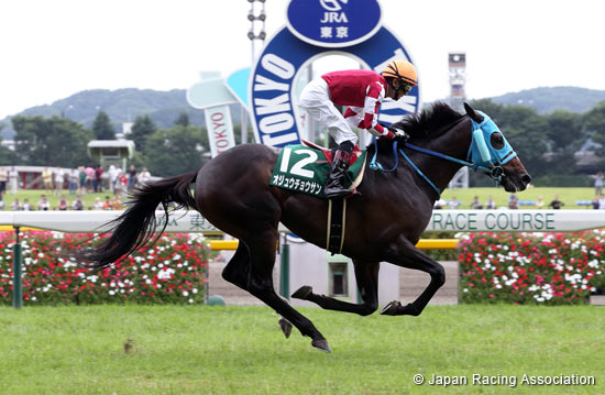 Tokyo Jump Stakes (J-G3)