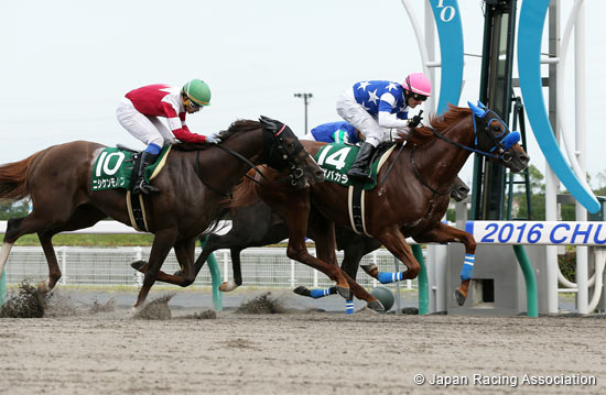 Procyon Stakes (G3)