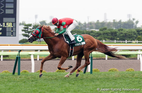 Hakodate Kinen (G3)