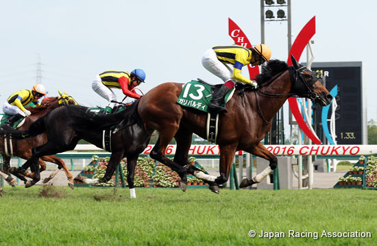 Toyota Sho Chukyo Kinen (G3)