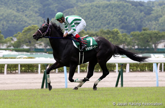 Kokura Summer Jump (J-G3)