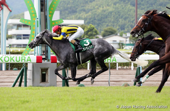 Kokura Kinen (G3)