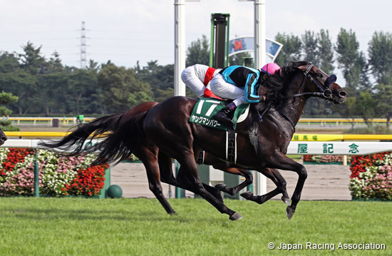 Sekiya Kinen (G3)