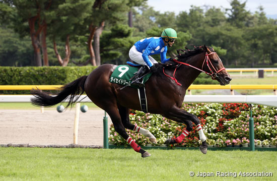 Niigata Jump Stakes (J-G3)