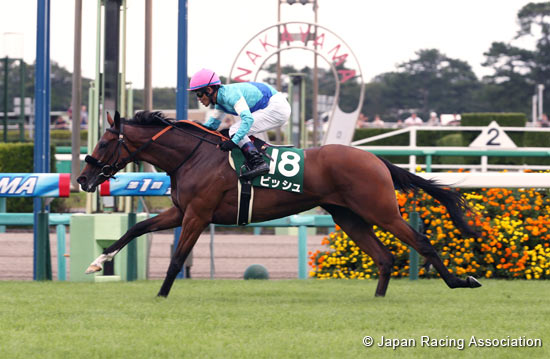 Shion Stakes (Shuka Sho Trial) (G3)