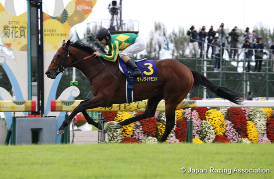 Kikuka Sho (Japanese St. Leger) (G1)