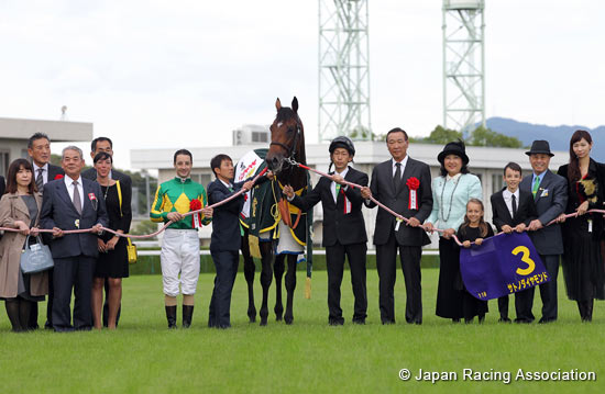 Kikuka Sho (Japanese St. Leger) (G1)