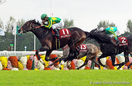 Mainichi Broadcast. Swan Stakes (G2)