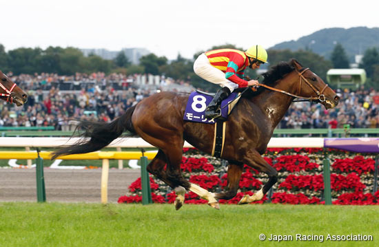 Tenno Sho (Autumn) (G1)