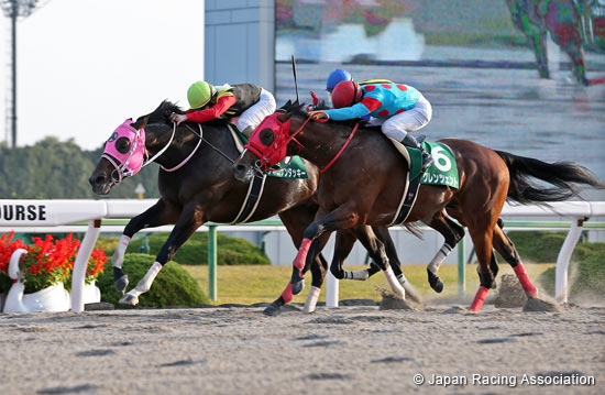 Miyako Stakes (G3)