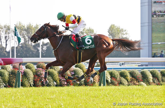 Kyoto Jump Stakes (J-G3)