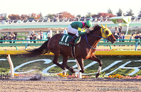 Tokyo Chunichi Sports Hai Musashino Stakes (G3)