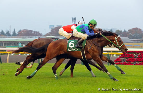 Tokyo Sports Hai Nisai Stakes (G3)