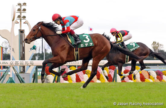 Radio Nikkei Hai Kyoto Nisai Stakes (G3)