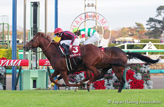 Sports Nippon Sho Stayers Stakes (G2)