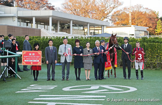 Sports Nippon Sho Stayers Stakes (G2)