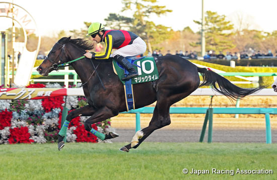 Turquoise Stakes