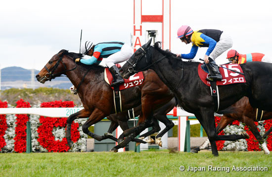 Hanshin Cup (G2)