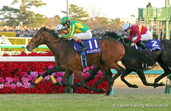 Arima Kinen (The Grand Prix) (G1)