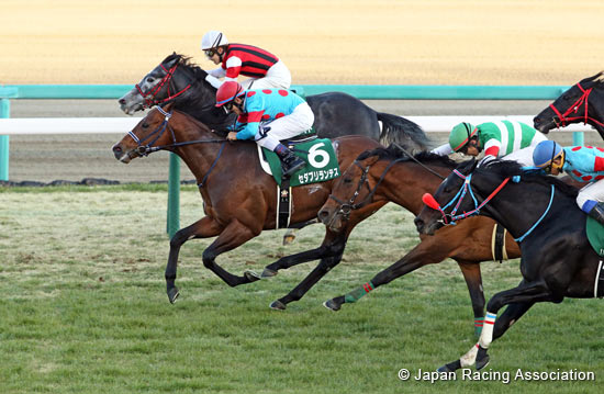 Nikkan Sports Sho Nakayama Kimpai (G3)