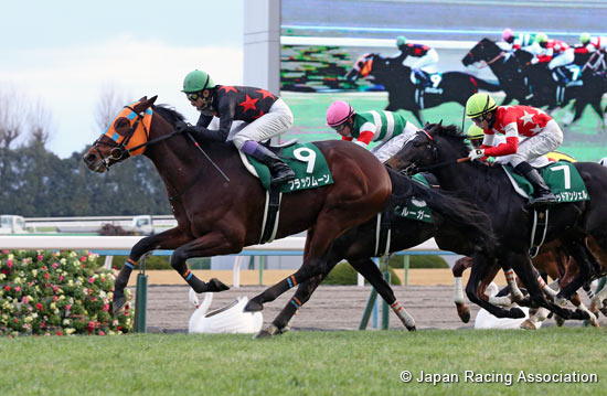 Sports Nippon Sho Kyoto Kimpai (G3)