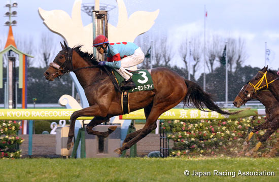 Nikkan Sports Sho Shinzan Kinen (G3)