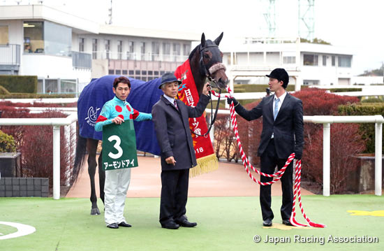 Nikkan Sports Sho Shinzan Kinen (G3)